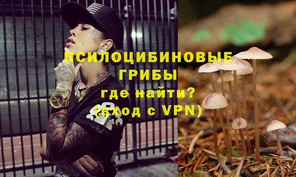 прущая мука Аркадак