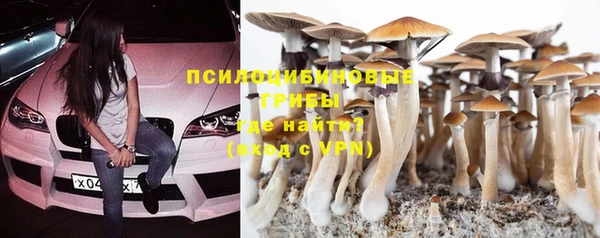 прущий лед Арсеньев