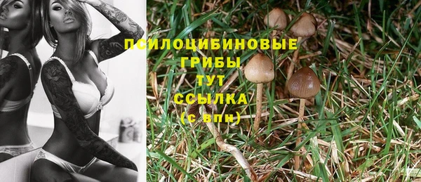 прущий лед Арсеньев