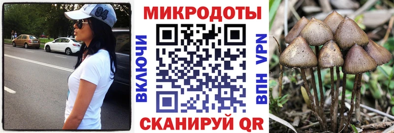 mega как зайти Балашов Псилоцибиновые грибы Psilocybe